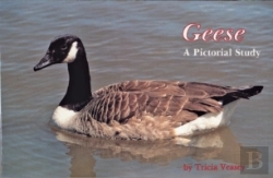 Bertrand.pt - Geese