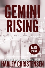 Gemini Rising