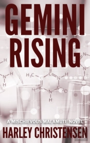 Gemini Rising