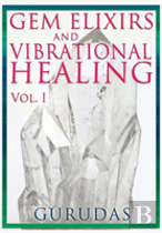Gems Elixirs And Vibrational Healing Volume 1