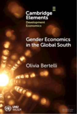 Bertrand.pt - Gender Economics In The Global South