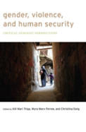 Gender, Violence, And Human Security