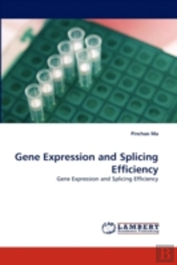 Bertrand.pt - Gene Expression And Splicing Efficiency
