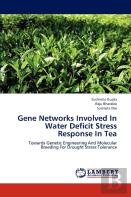 Gene Networks Involved In Water Deficit Stress Response In Tea