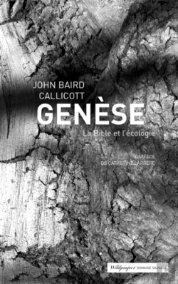 Bertrand.pt - Génèse