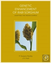 Genetic Enhancement Of Rabi Sorghum