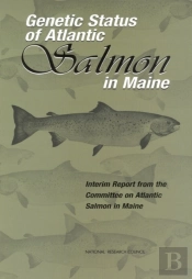 Genetic Status Of Atlantic Salmon In Maine