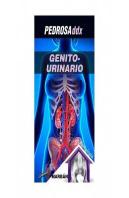 Genitourinario. Ddx