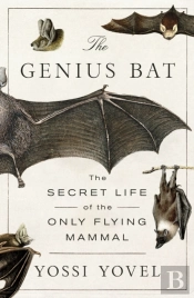 Genius Bat