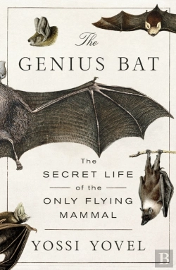 Bertrand.pt - Genius Bat