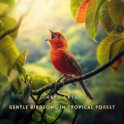 Gentle Birdsong In Tropical Forest