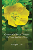 Gentle Galilean Glories