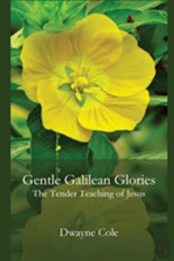 Bertrand.pt - Gentle Galilean Glories