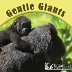 Bertrand.pt - Gentle Giants