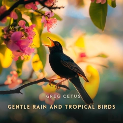 Bertrand.pt - Gentle Rain And Tropical Birds