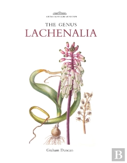 Bertrand.pt - Genus Lachenalia