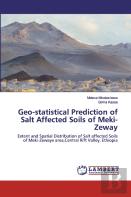 Geo-Statistical Prediction Of Salt Affected Soils Of Meki-Zeway