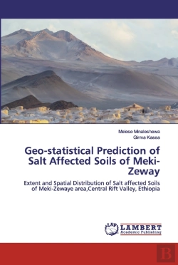 Bertrand.pt - Geo-Statistical Prediction Of Salt Affected Soils Of Meki-Zeway
