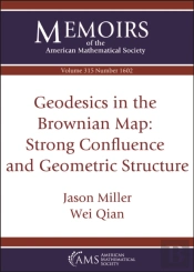 Geodesics In The Brownian Map: Strong Confluence And Geometric Structure