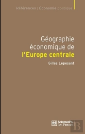 Géographie Économique De L'Europe Centrale ; Recomposition Et Européanisation Des Territoires