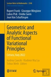Geometric And Analytic Aspects Of Functional Variational Principles