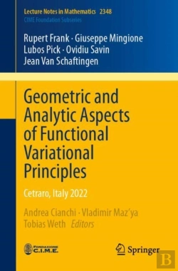 Bertrand.pt - Geometric And Analytic Aspects Of Functional Variational Principles