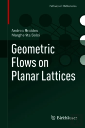 Geometric Flows On Planar Lattices