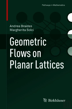 Bertrand.pt - Geometric Flows On Planar Lattices