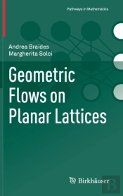 Geometric Flows On Planar Lattices