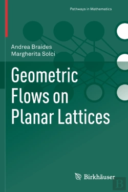 Bertrand.pt - Geometric Flows On Planar Lattices