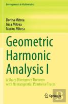 Geometric Harmonic Analysis I