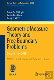 Geometric Measure Theory And Free Boundary Problems