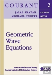 Geometric Wave Equations