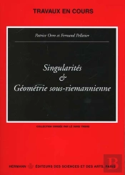 Geometrie Sous-Riemannienne Et Singulatites