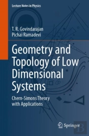 Geometry And Topology Of Low Dimensional Systems