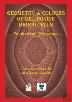 Bertrand.pt - Geometry & Colours Of Meliponine Brood Cells