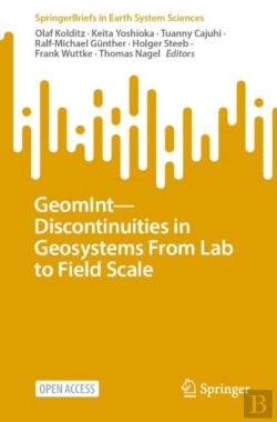 Bertrand.pt - Geomint-Discontinuities In Geosystems From Lab To Field Scale