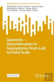 Geomintâ€”Discontinuities In Geosystems From Lab To Field Scale