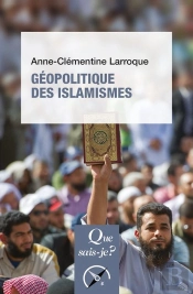 Geopolitique Des Islamismes