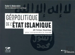 Bertrand.pt - Geopolitique Du Groupe Etat Islamique - 40 Fiches Illustrees Pour Comprendre Le Monde/Collection Dir