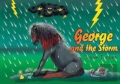 George And The Storm