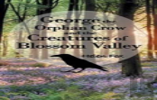 George The Orphan Crow And The Creatures Of Blossom Valley