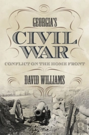 Georgia'S Civil War