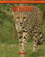 Gepard! Ein Padagogisches Kinderbuch Uber Gepard Mit Lustigen Fakten