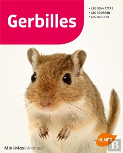 Bertrand.pt - Gerbilles
