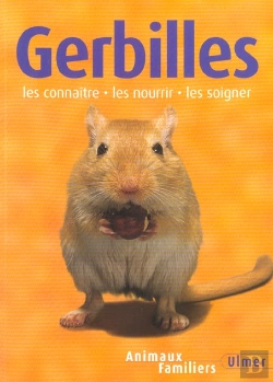 Bertrand.pt - Gerbilles