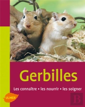 Gerbilles ; Les Connaître, Les Nourri, Les Soigner