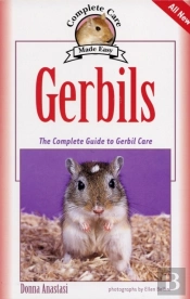 Gerbils