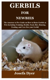 Gerbils For Newbies