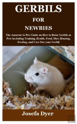Bertrand.pt - Gerbils For Newbies